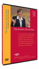 Video #14: The Secret Lives of Pets